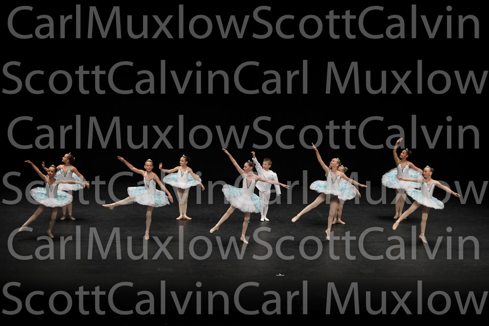 IMG_5219