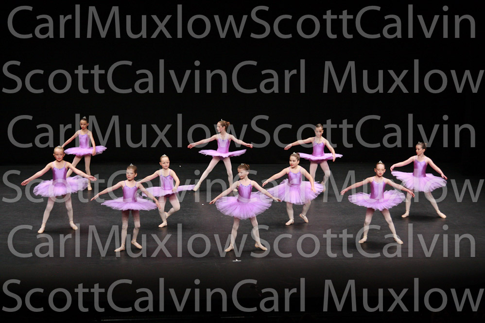 IMG_2095