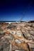CrowdyHarrington