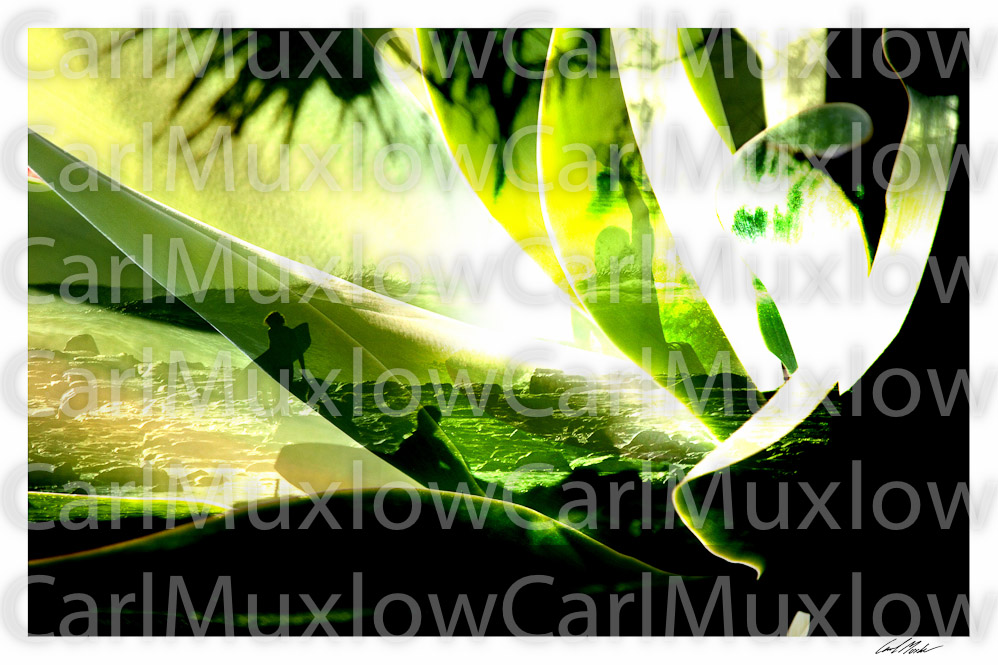 18X12RetroGreen copy