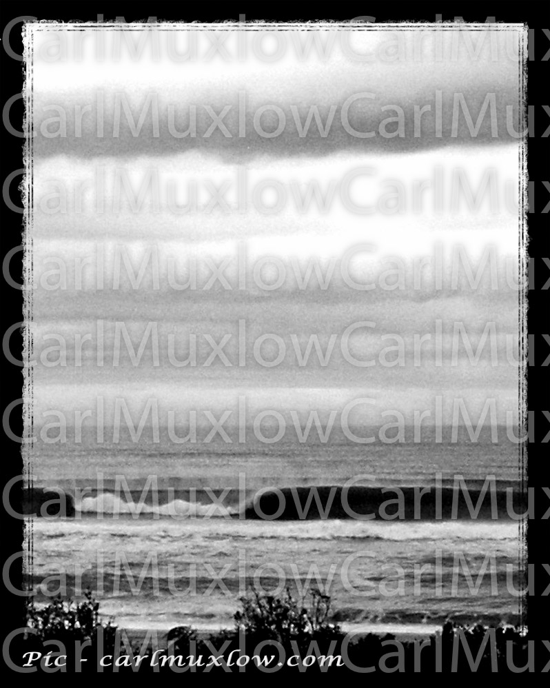 8x1001