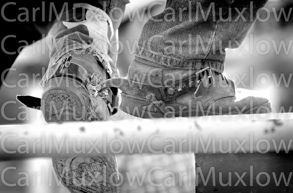 Boots Cowboy