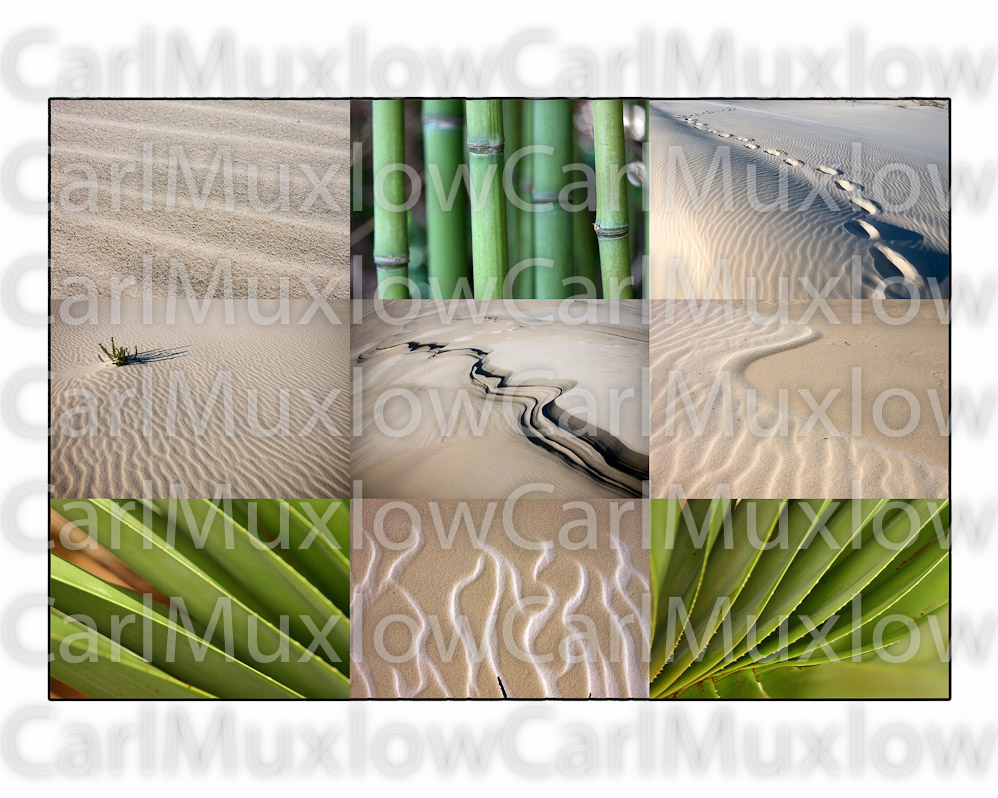 Collage (4)