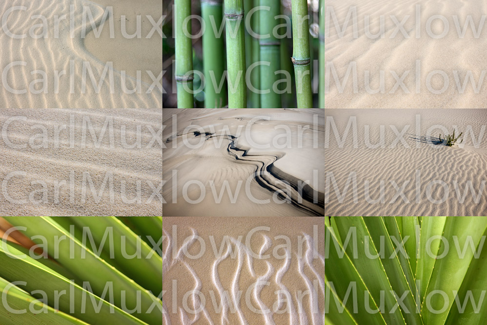 Collage (8)