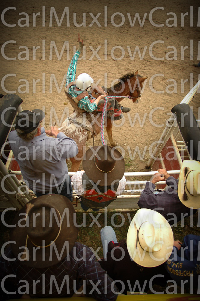 DSC_7133