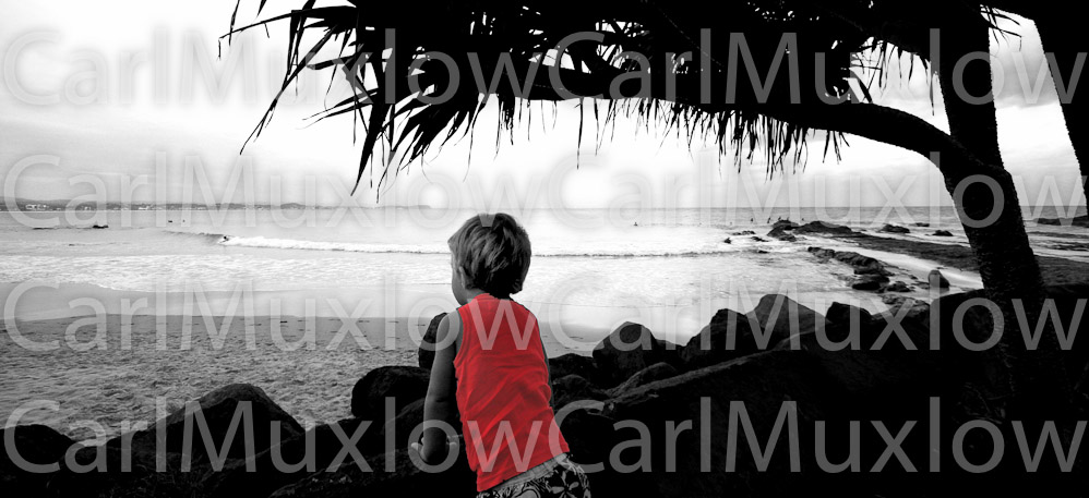 IMG_2487 copy