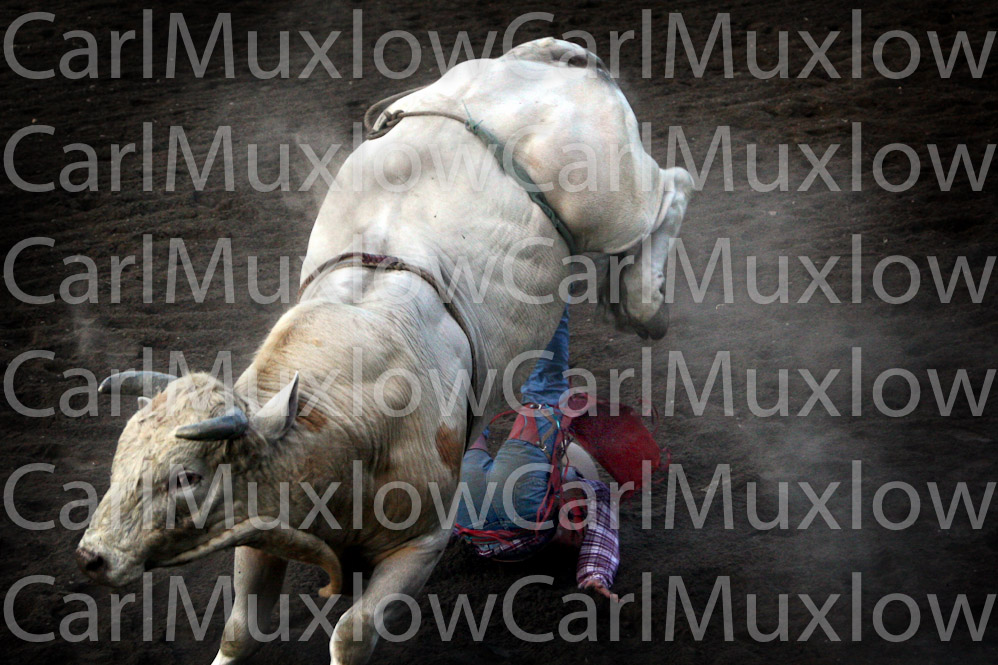 IMG_9111 copy