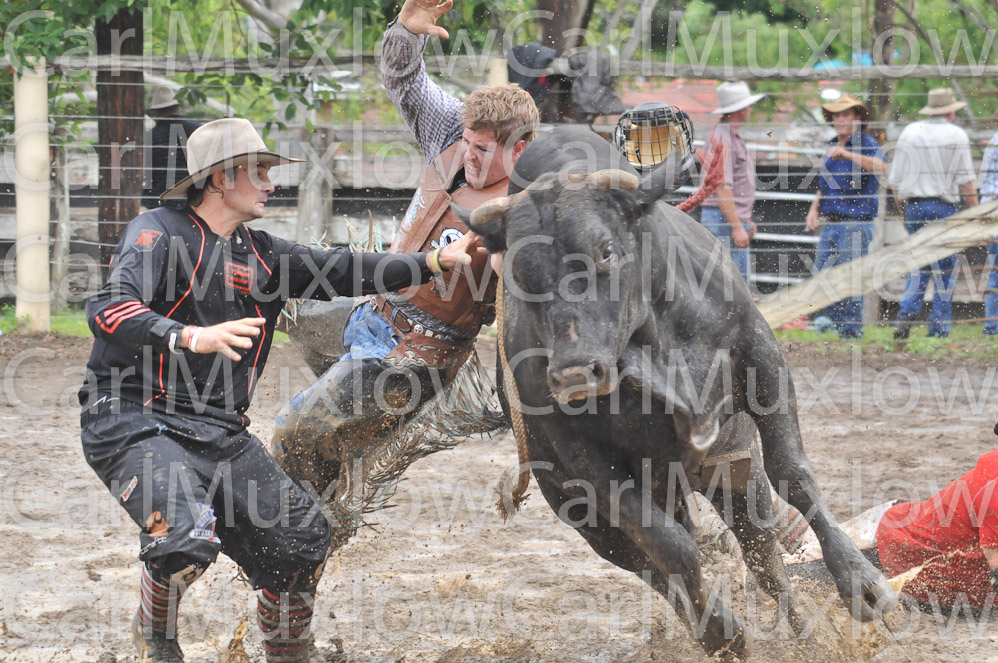 Rodeo 2 (1)