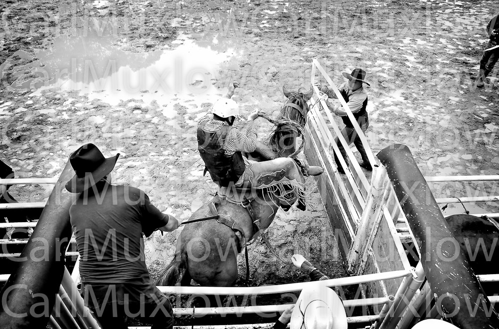 Rodeo Cowboys Mud
